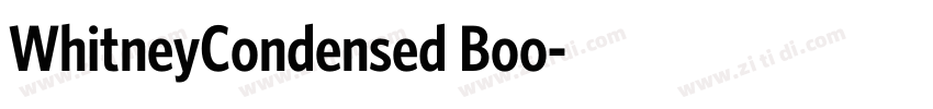 WhitneyCondensed Boo字体转换